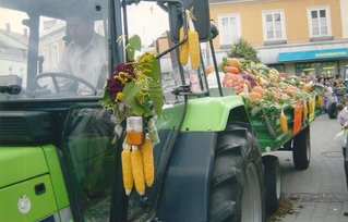 Bauernladen Krenn mit Gemüse aus eigenem Anbau