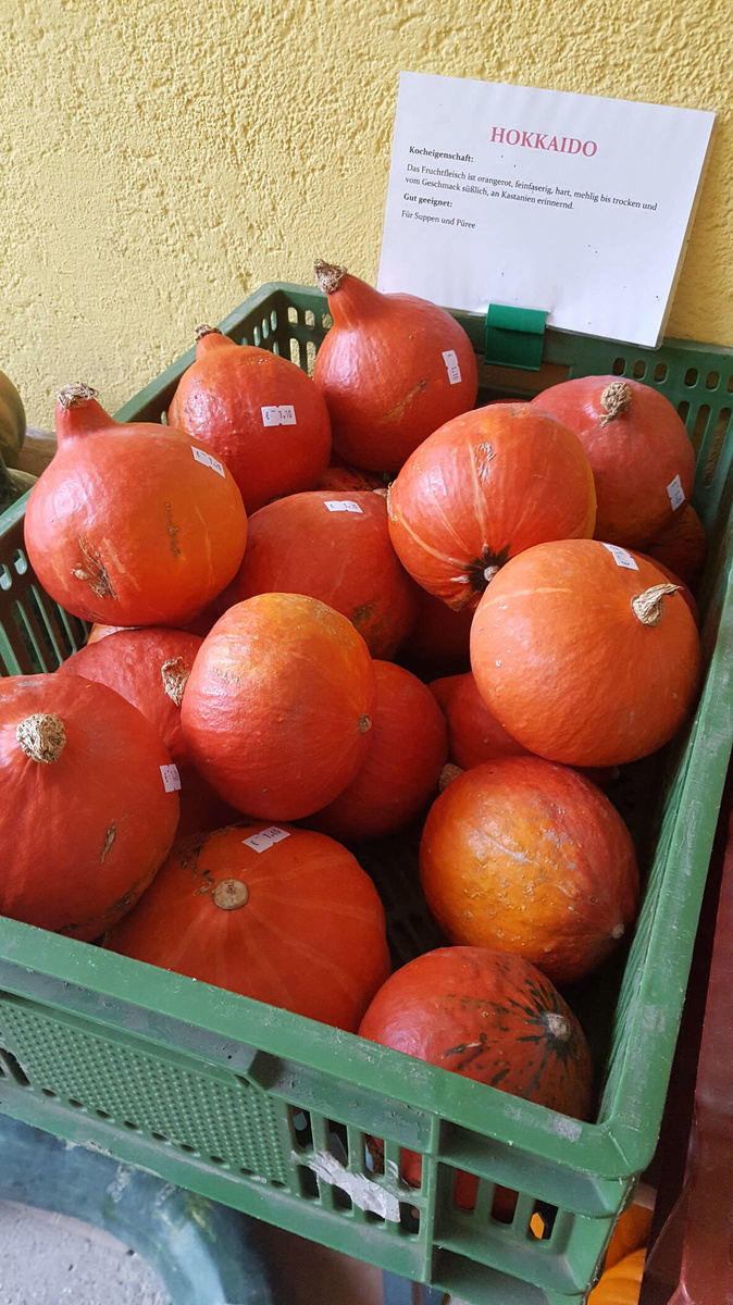 Hokkaido-Kürbisse der Bauernladen Krenn GmbH